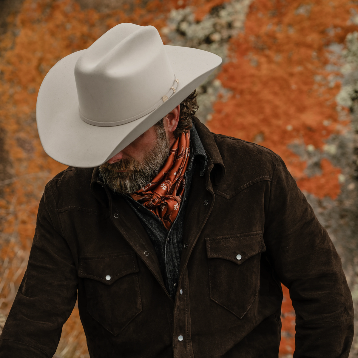 El Presidente 100X Premier Cowboy Hat Silverbelly - Stetson
