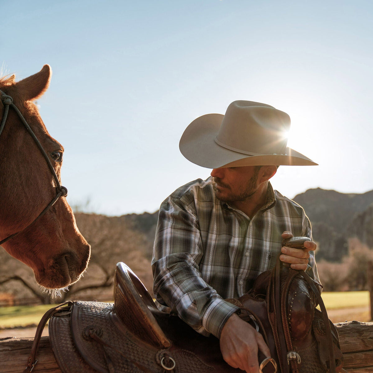 Shasta 10X Premier Cowboy Hat Silverbelly - Stetson