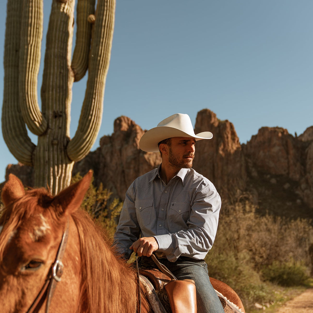 Shasta 10X Premier Cowboy Hat White - Stetson