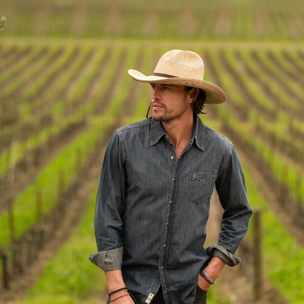 Bryce Straw Hat Natural - Stetson