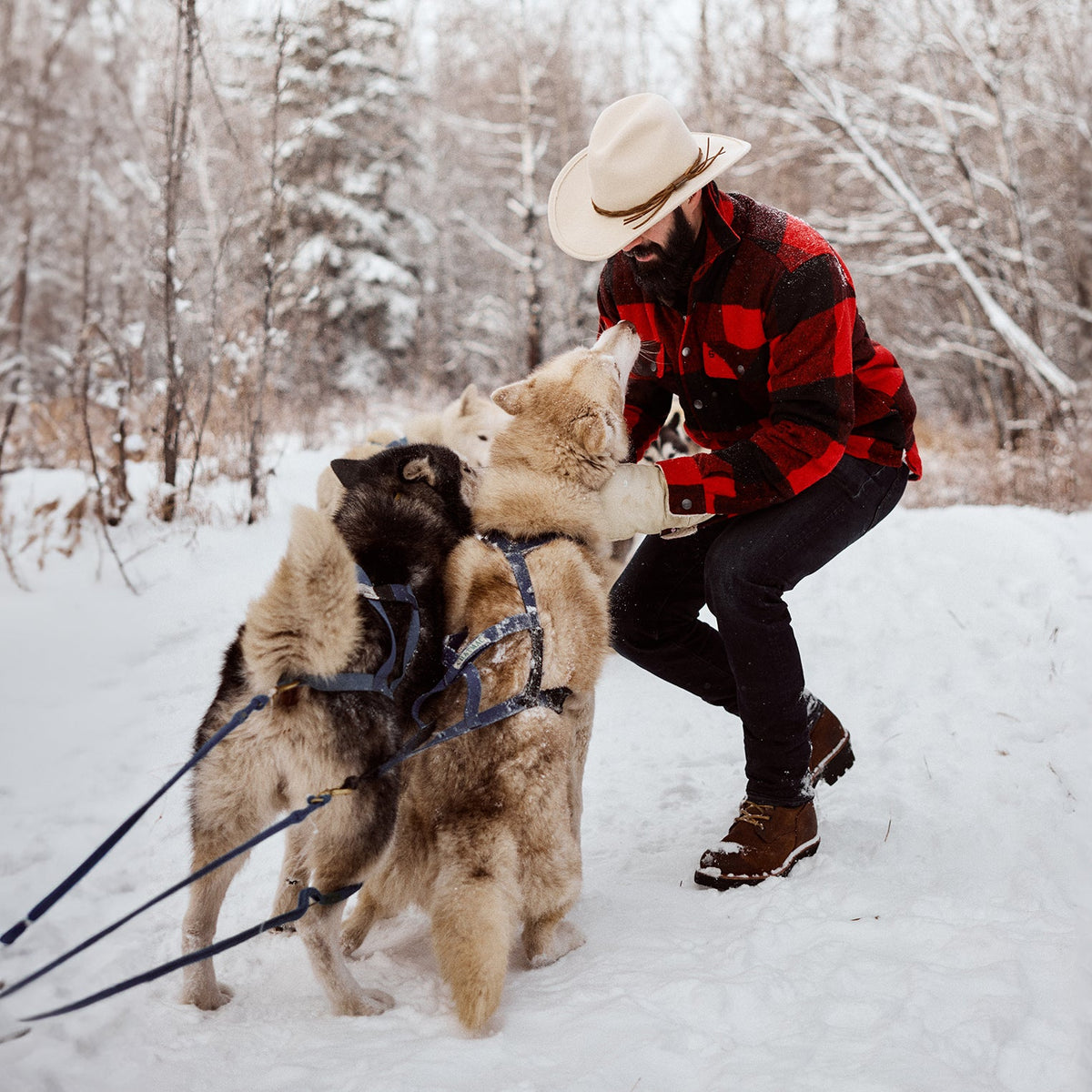 Gus Crushable Outdoor Hat Silverbelly - Stetson
