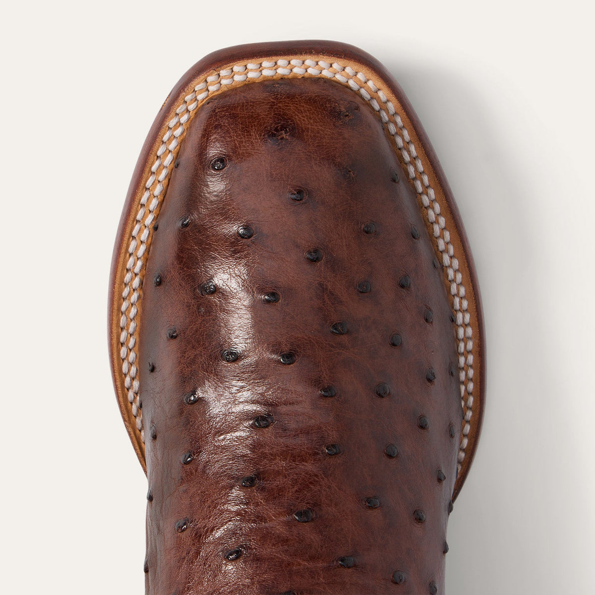Ozzy Ostrich Boot Dark Brown - Stetson