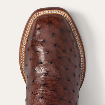 Ozzy Ostrich Boot Dark Brown - Stetson