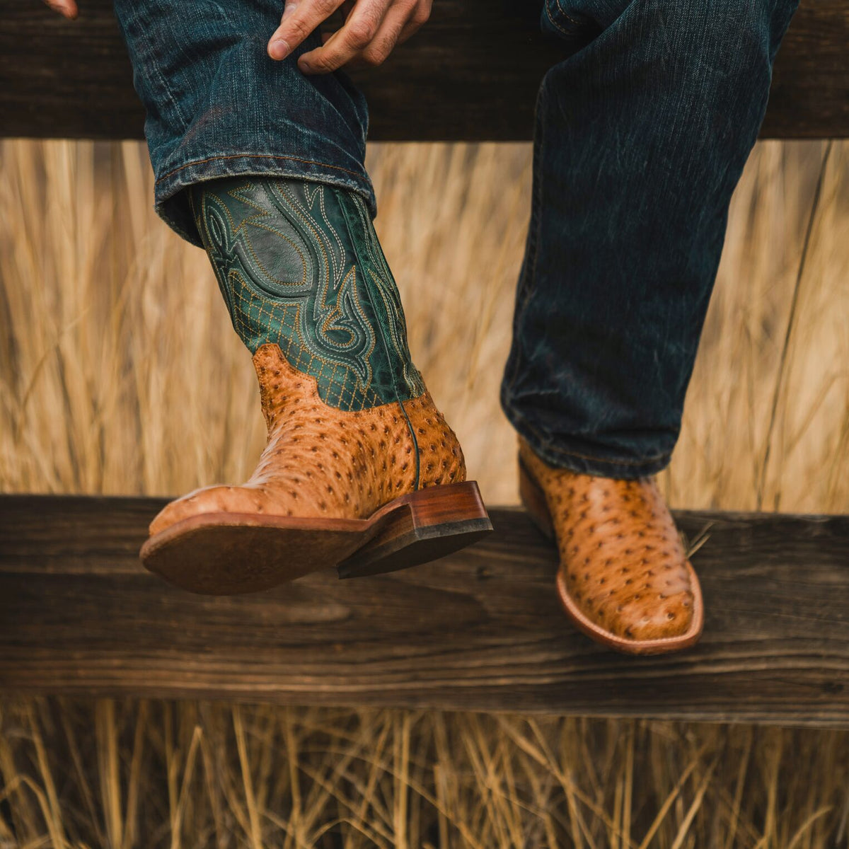 Ozzy Ostrich Boot Tan - Stetson