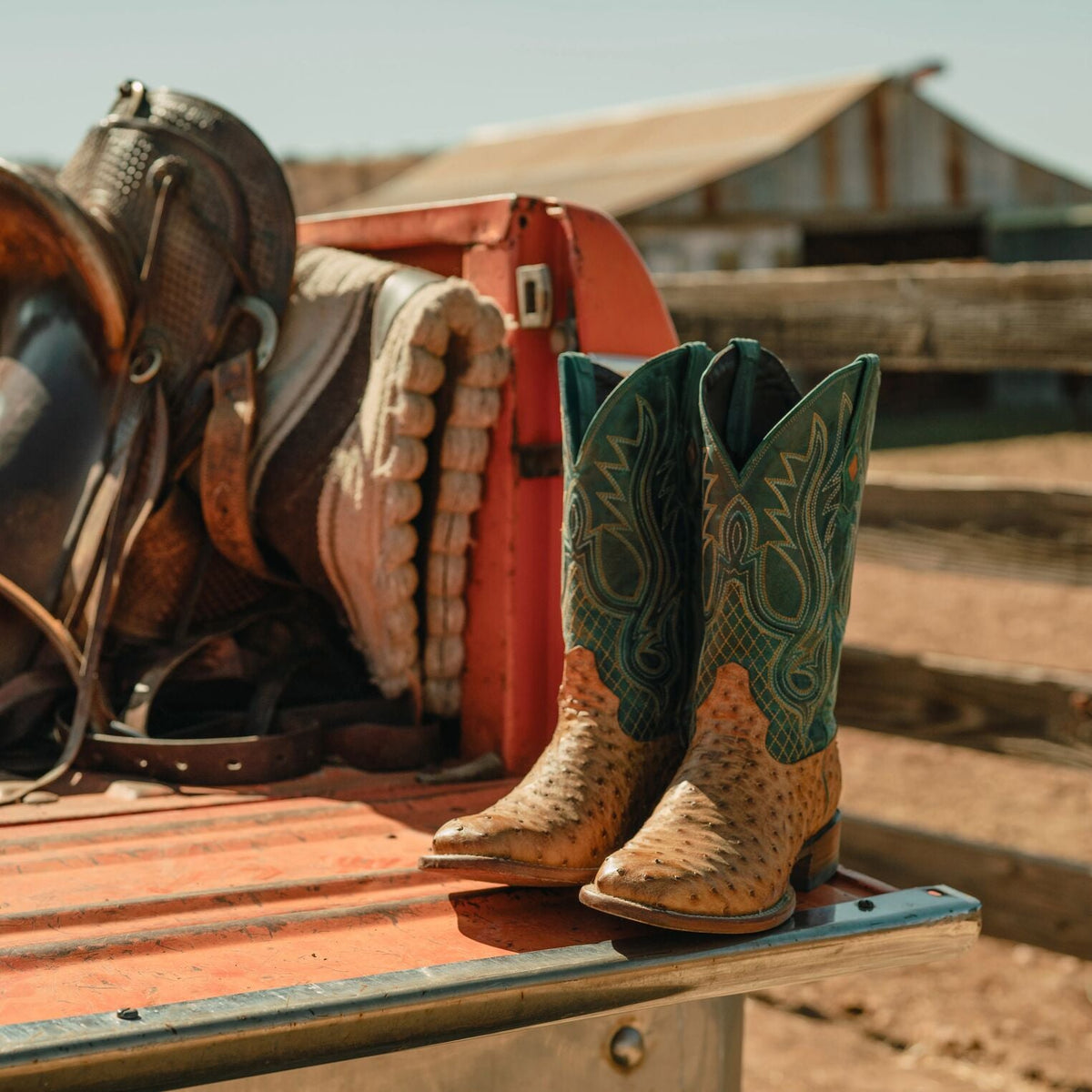 Ozzy Ostrich Boot Tan - Stetson