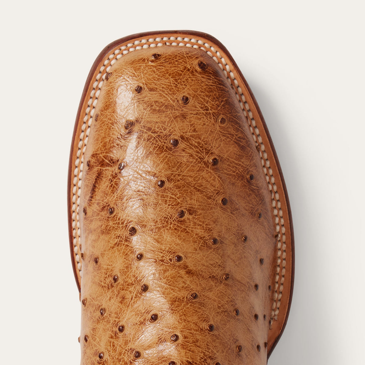 Ozzy Ostrich Boot Tan - Stetson