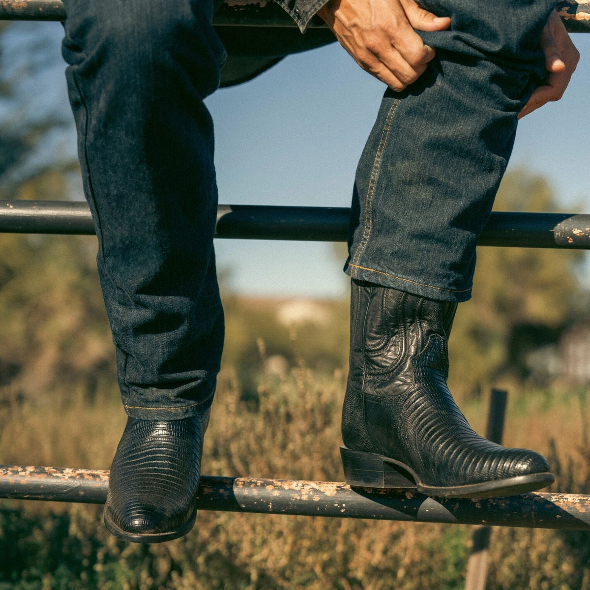 Wayne Teju Boots Black - Stetson