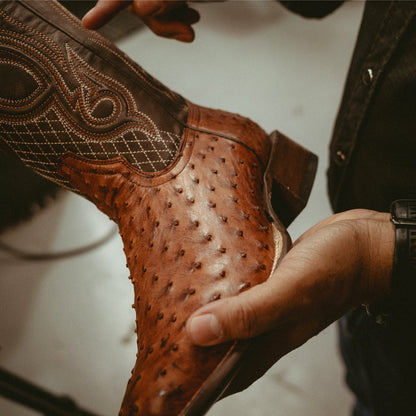 Ozzy Ostrich Boot Brown - Stetson