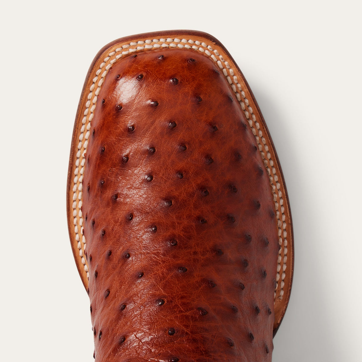 Ozzy Ostrich Boot Brown - Stetson