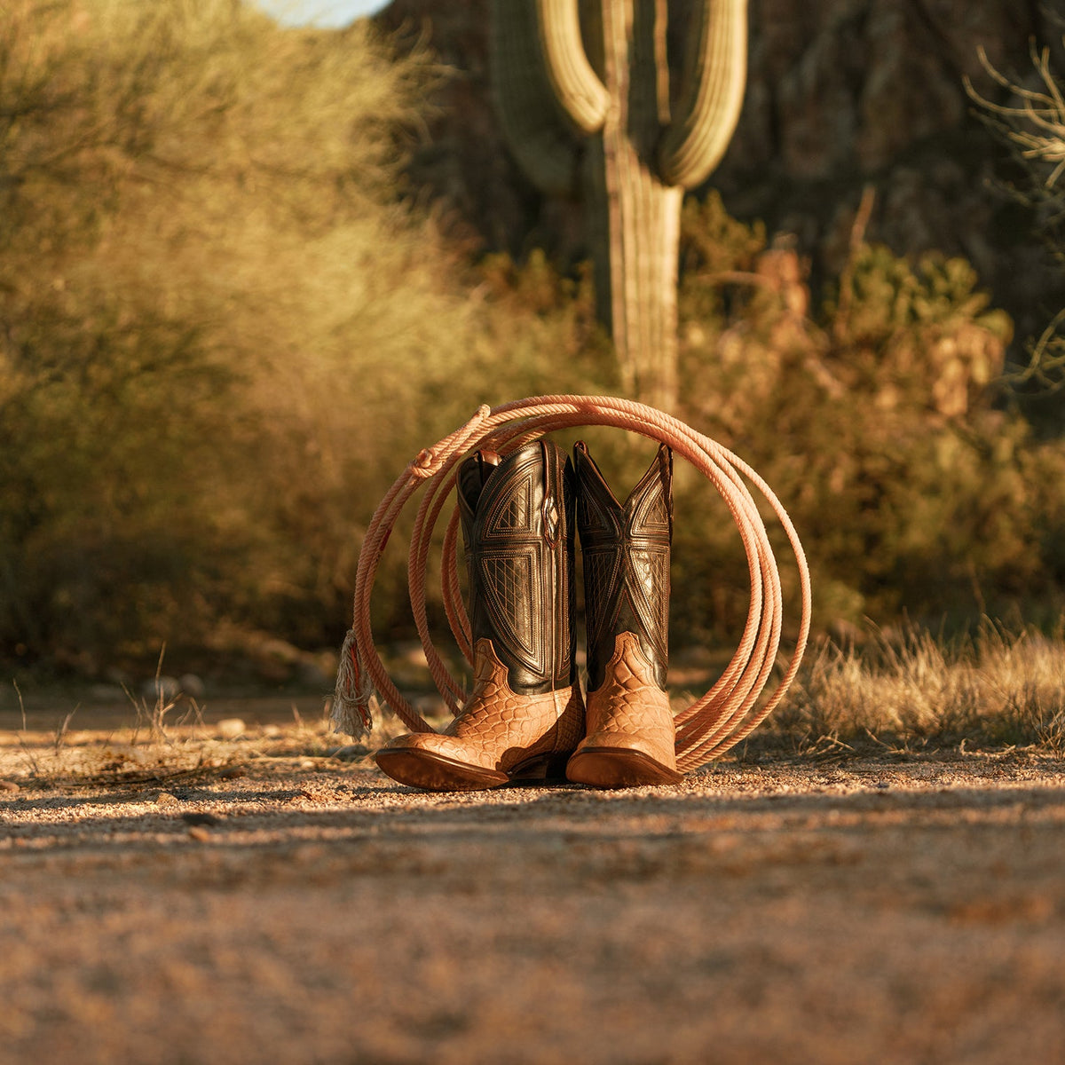 Flaxville Tan - Stetson