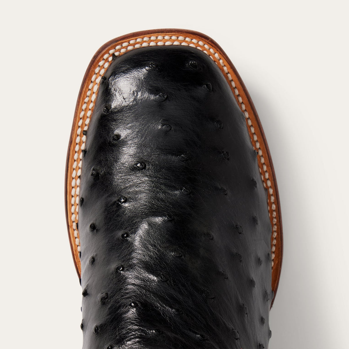 Ozzy Ostrich Boot Black - Stetson