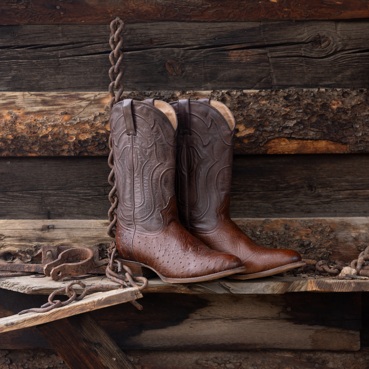 Chisholm Ostrich Boots Tobacco - Stetson