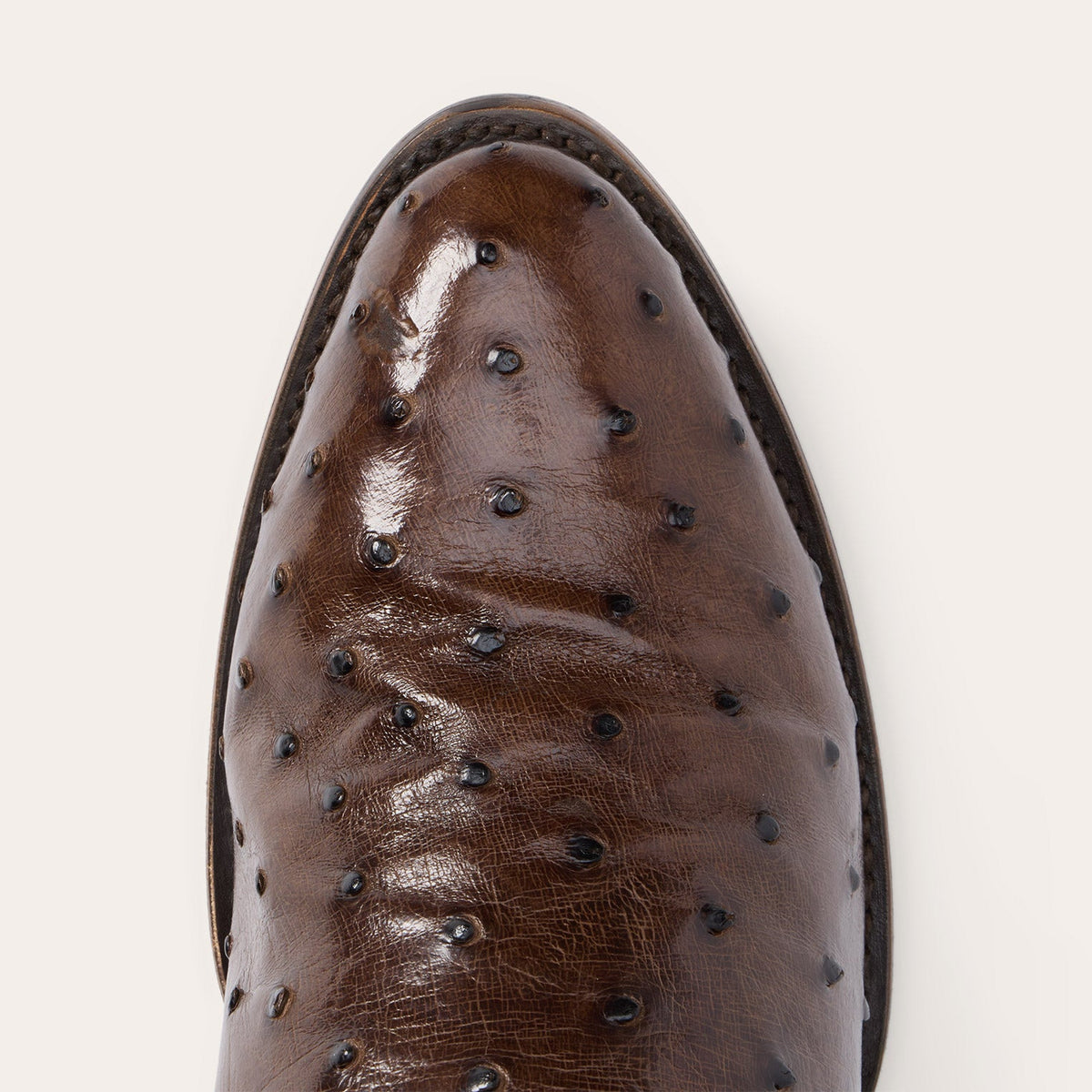 Chisholm Ostrich Boots Tobacco - Stetson