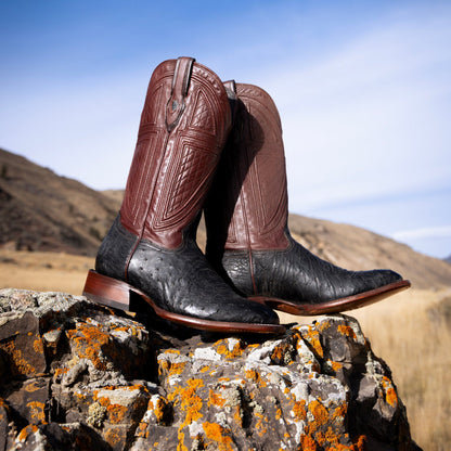 Dillon Ostrich Boots Black - Stetson