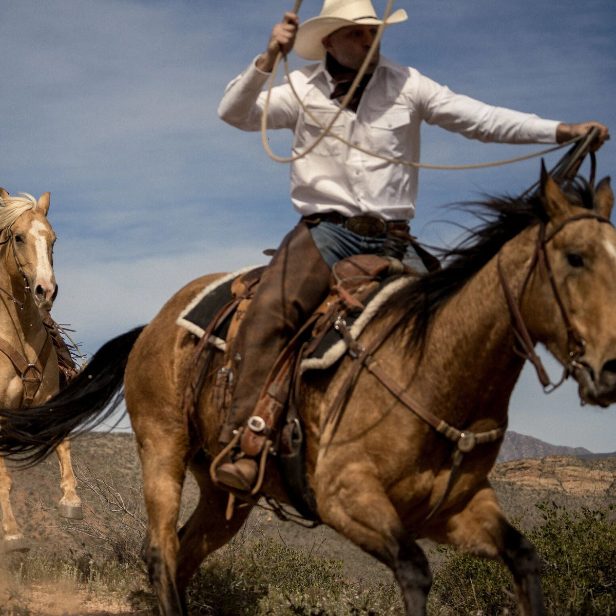 White Oxford Western Shirt White - Stetson