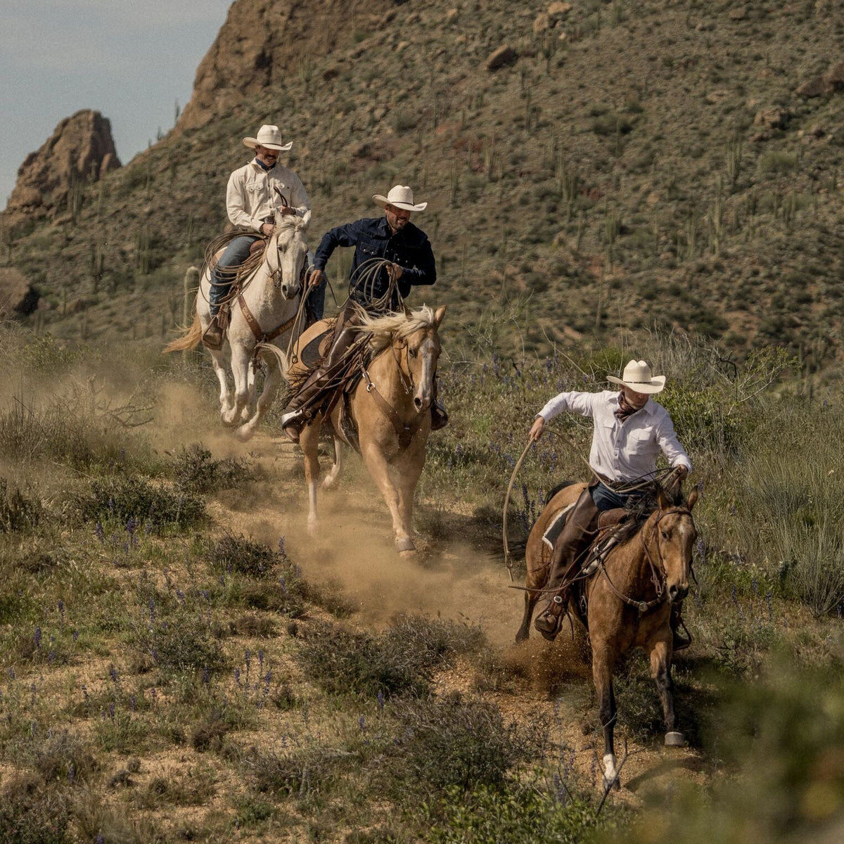 White Oxford Western Shirt White - Stetson
