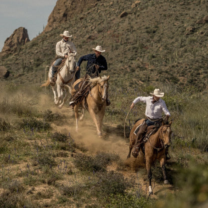 White Oxford Western Shirt White - Stetson