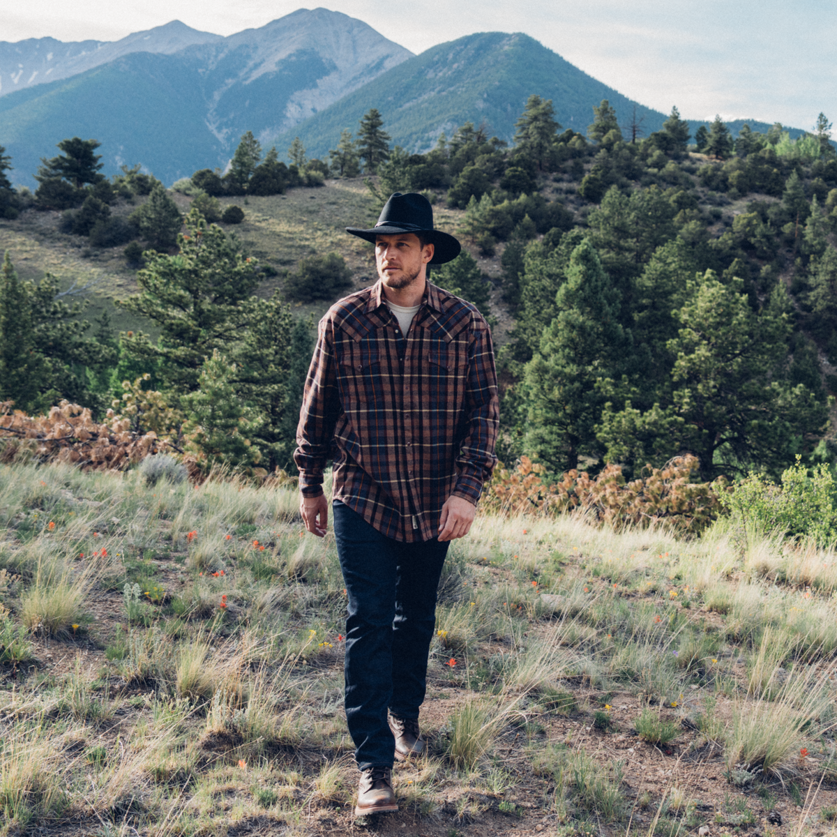 Brushed Flannel Western Shirt Brown - Stetson