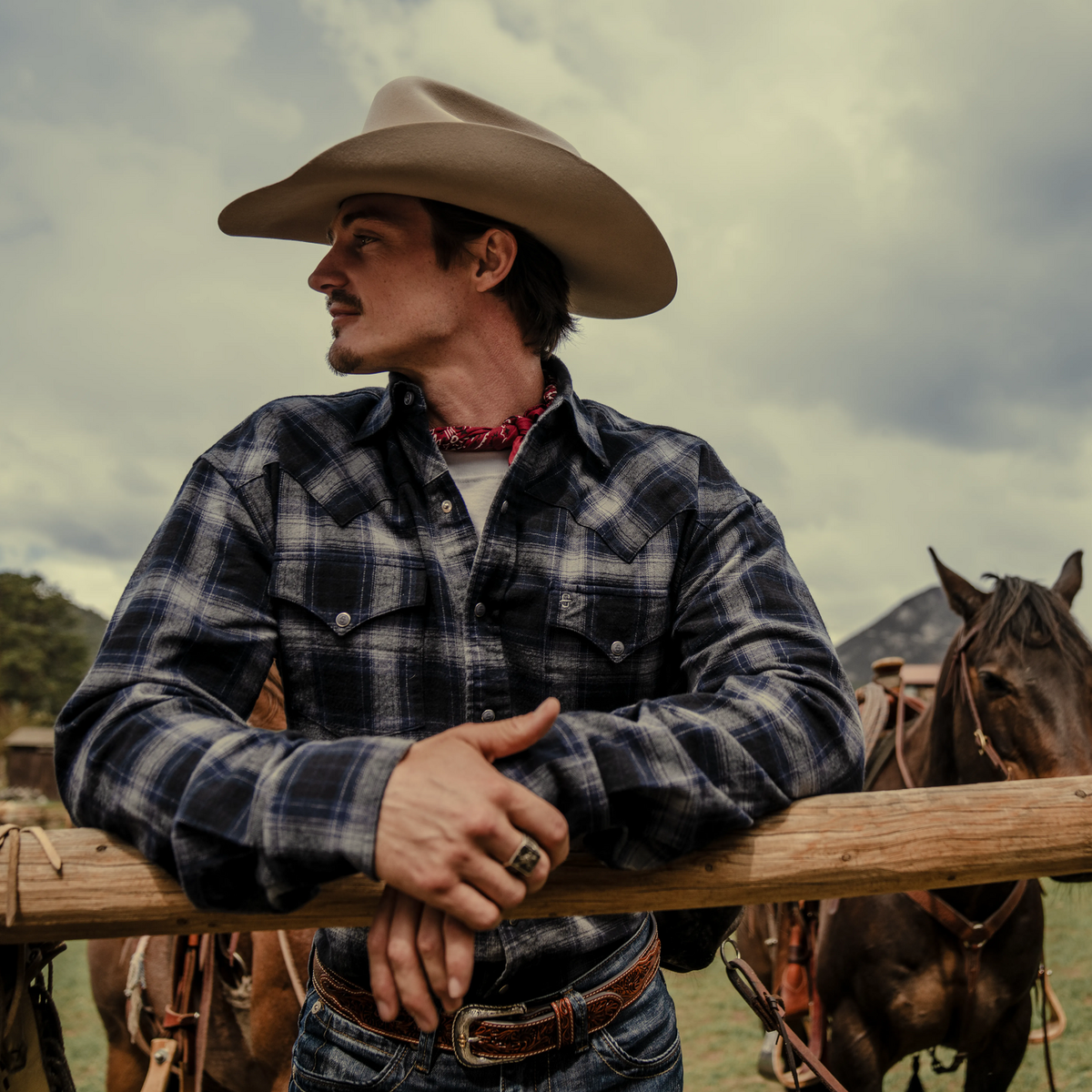 Brushed Twill Plaid Western Shirt Black - Stetson