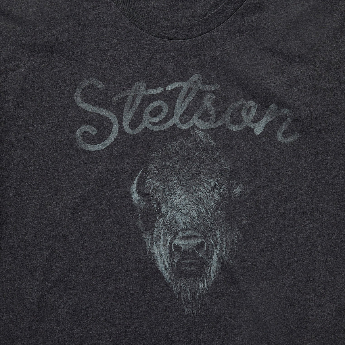 Bison Spirit Graphic Tee Black - Stetson