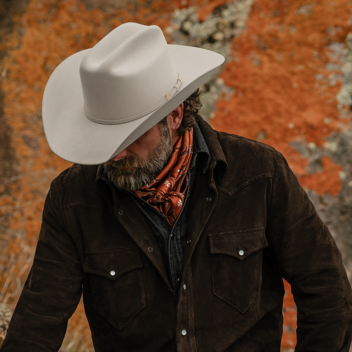 Suede Shirt Jacket Brown - Stetson