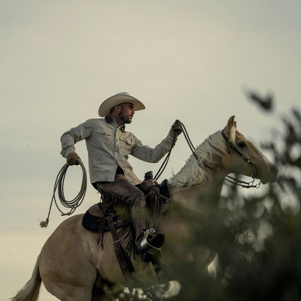 Corduroy Collar Shirt Jacket Tan - Stetson