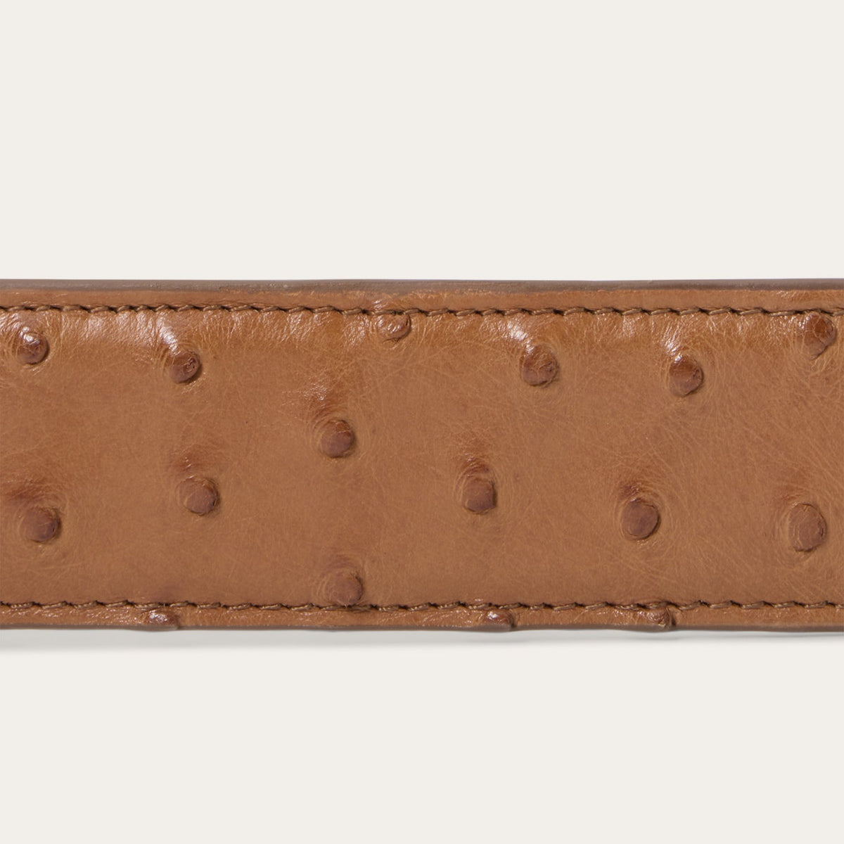 Ostrich Western Tab Belt Antique Cognac - Stetson