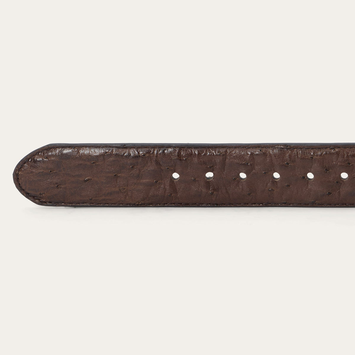 Ostrich Western Tab Belt Mocha Brown - Stetson