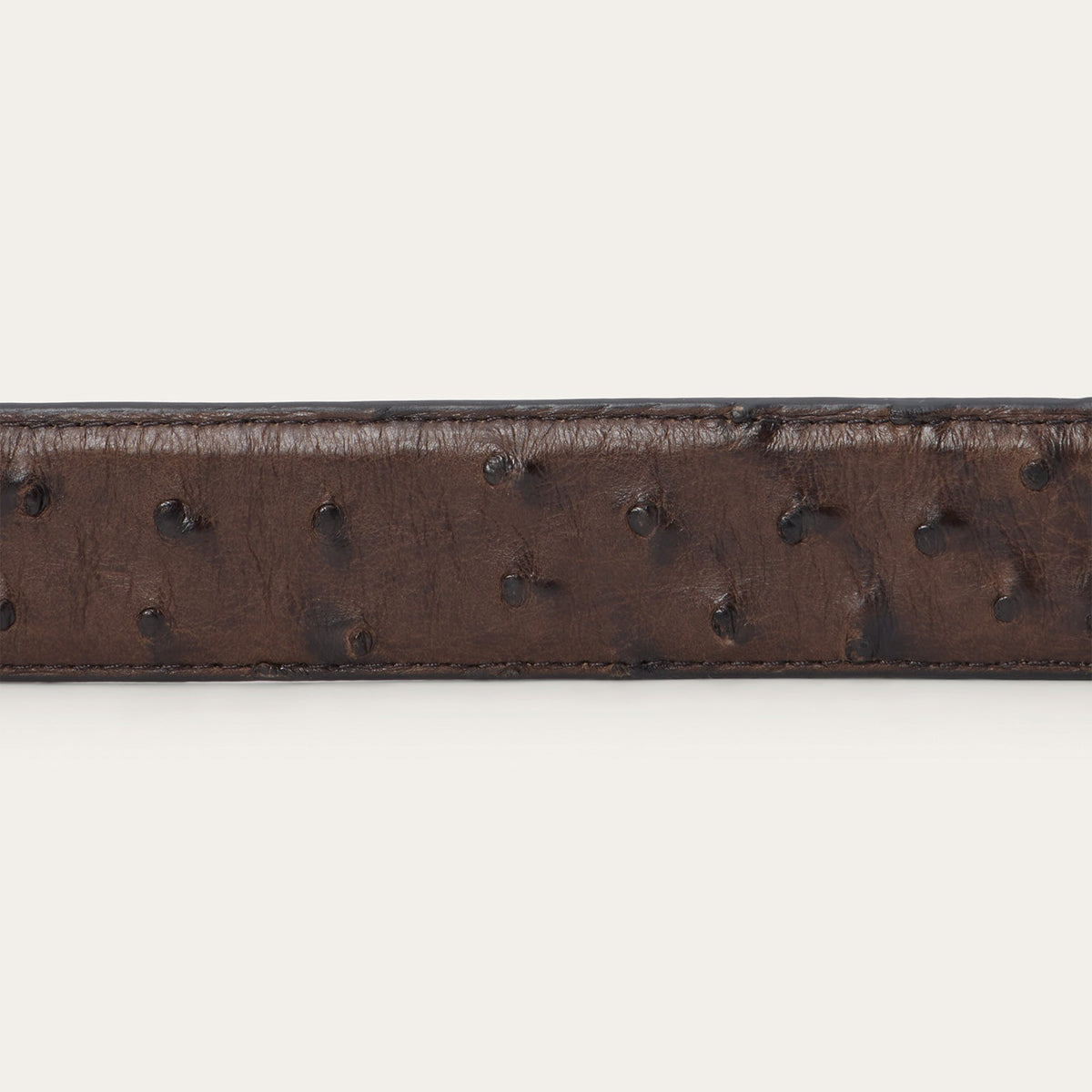Ostrich Western Tab Belt Mocha Brown - Stetson