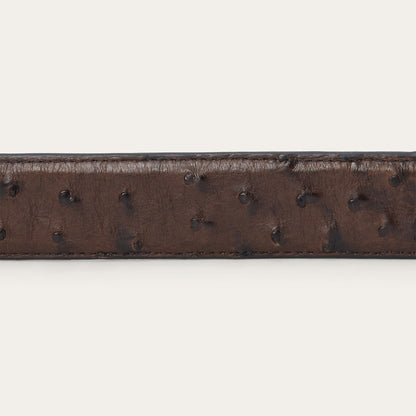 Ostrich Western Tab Belt Mocha Brown - Stetson