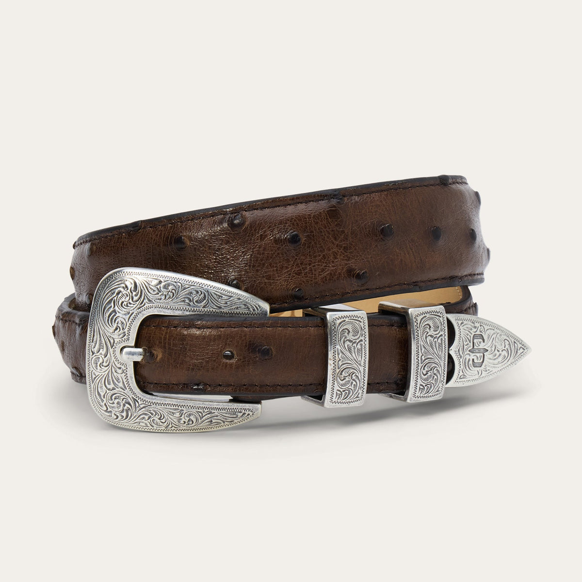 Ostrich Tapered Belt Mocha Brown - Stetson