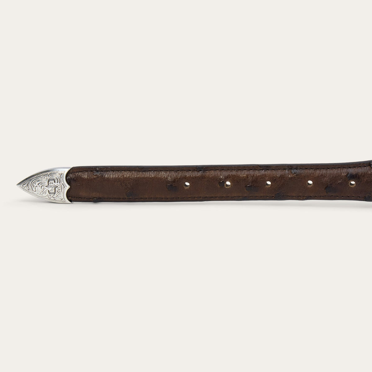 Ostrich Tapered Belt Mocha Brown - Stetson