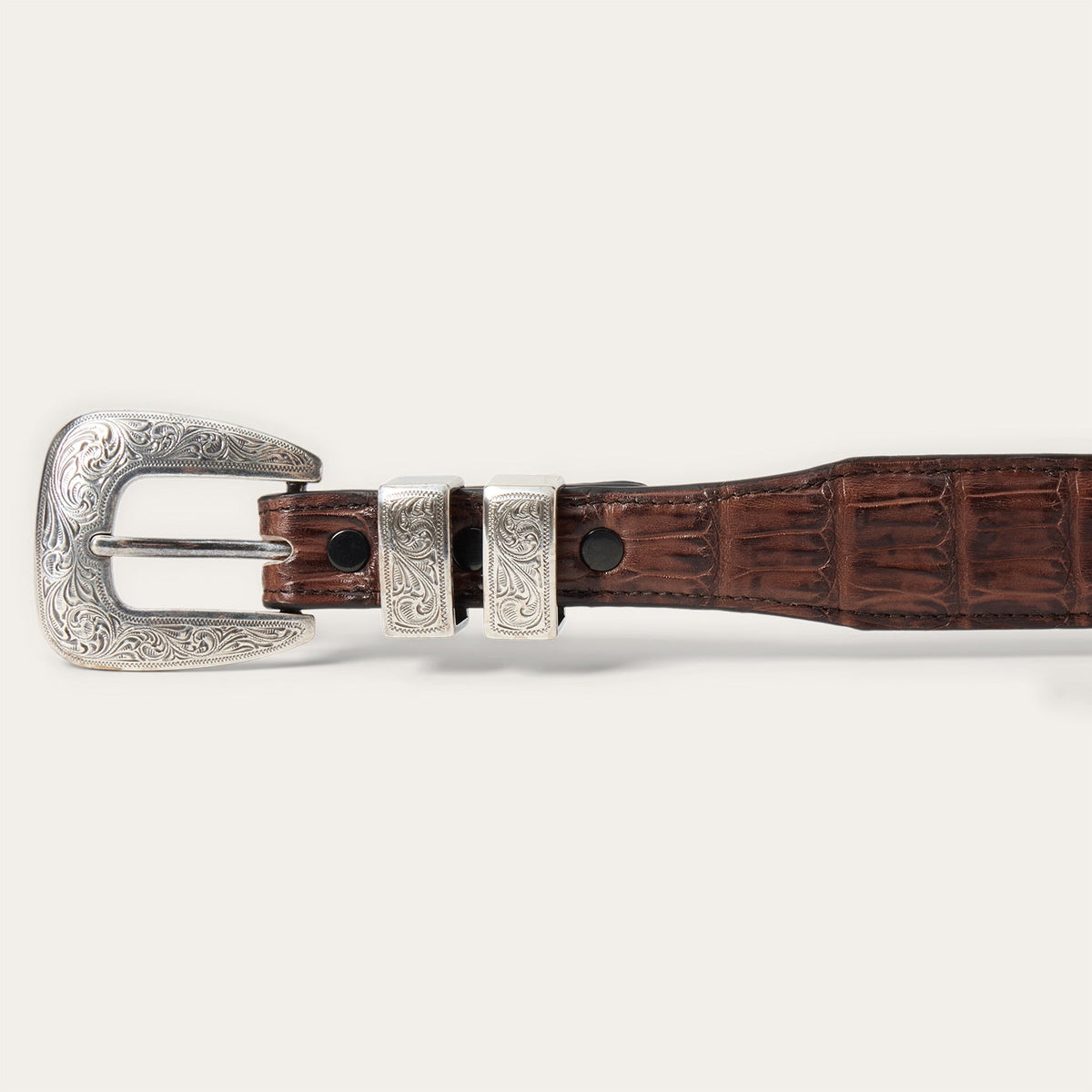 Caiman Tapered Belt Cigar Classic - Stetson
