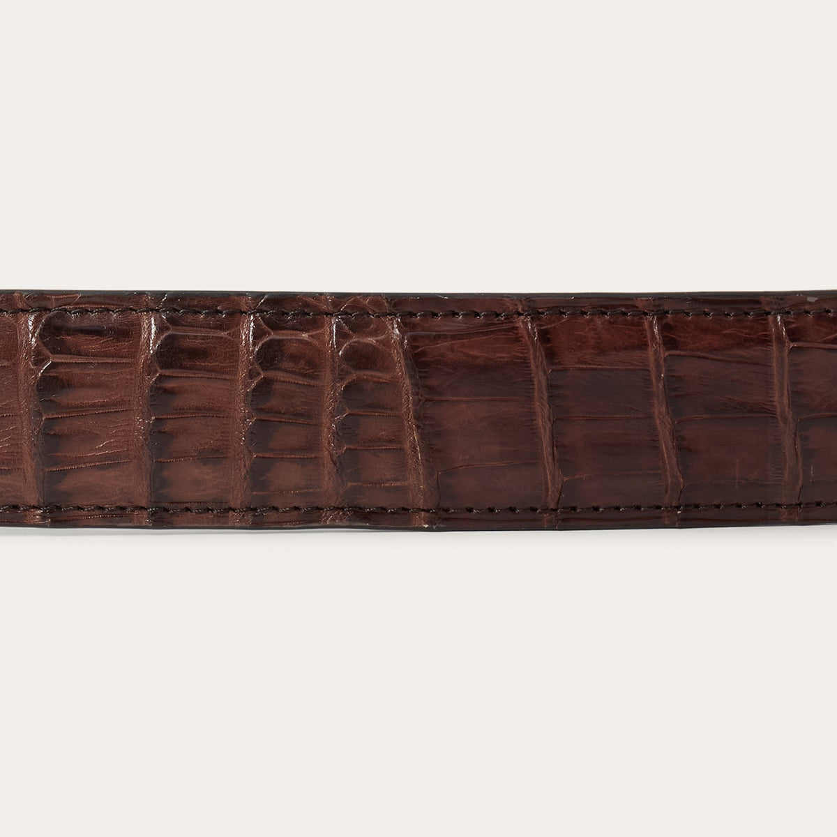 Caiman Tapered Belt Cigar Classic - Stetson