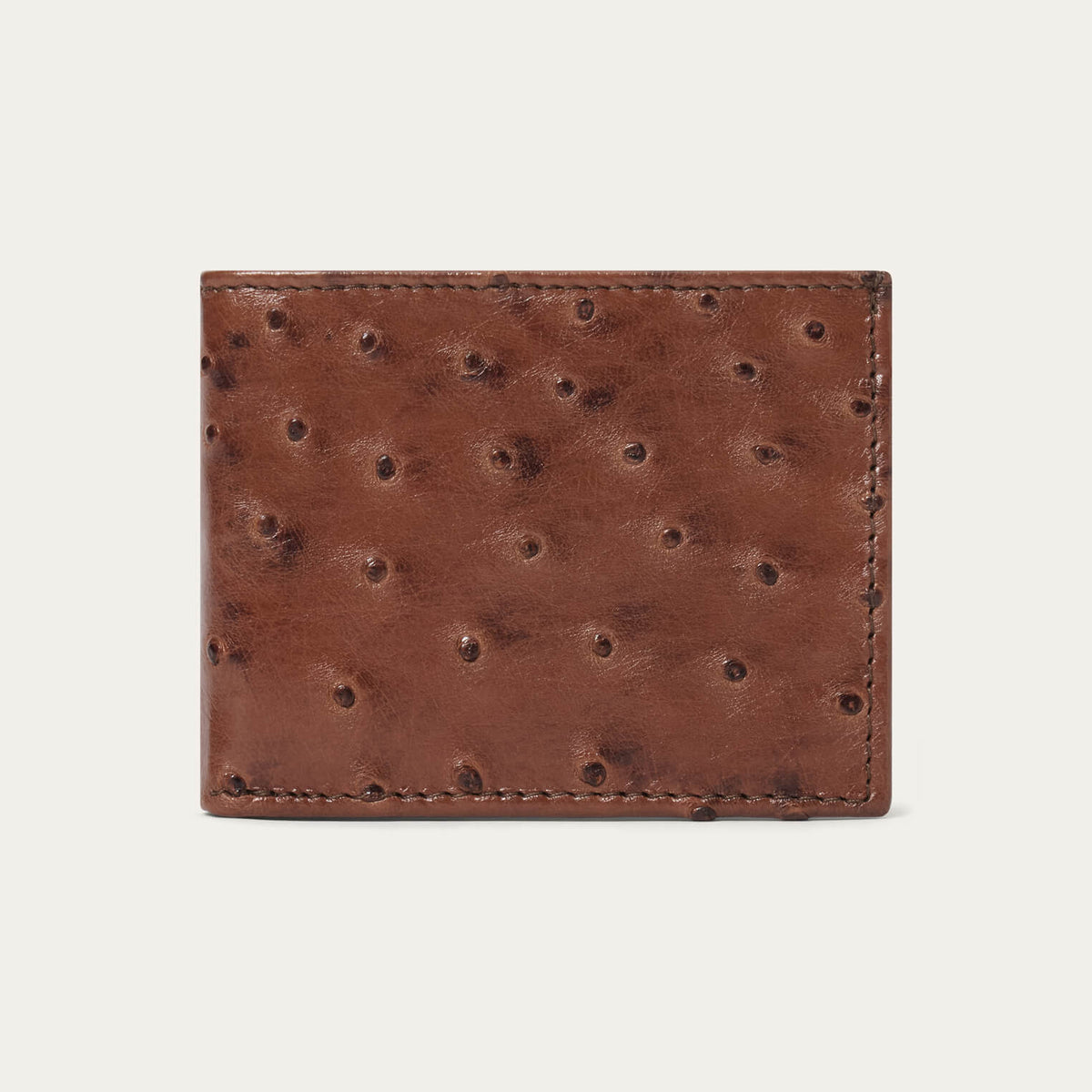 Ostrich Bi-Fold Wallet Kango Cognac - Stetson