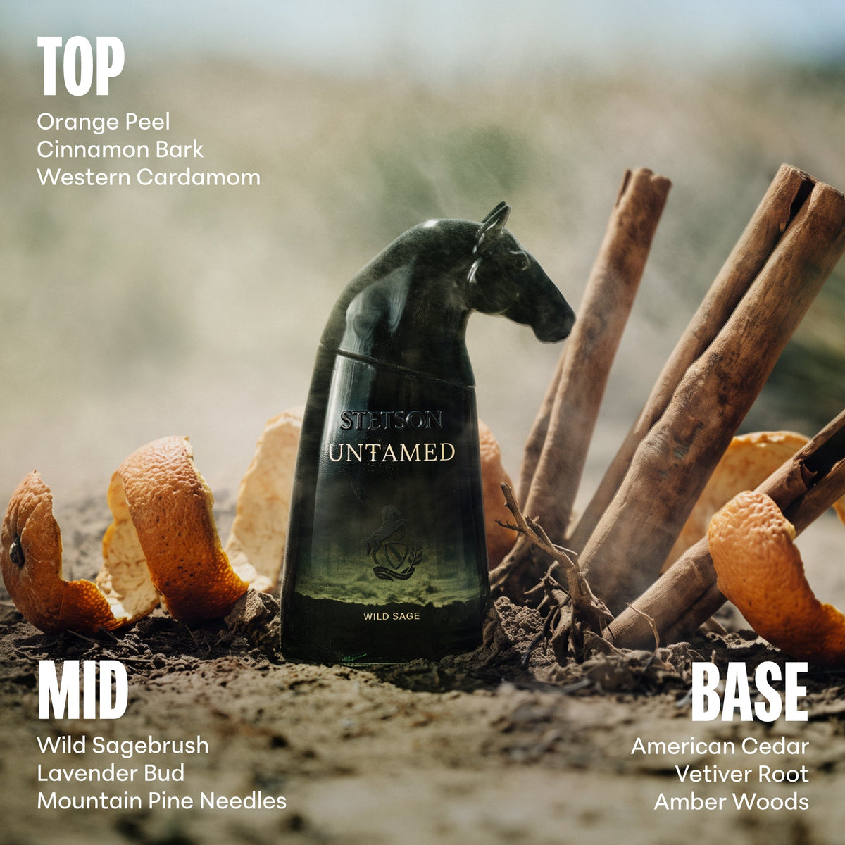 Stetson Untamed Wild Sage Eau de Parfum Select a size - Stetson