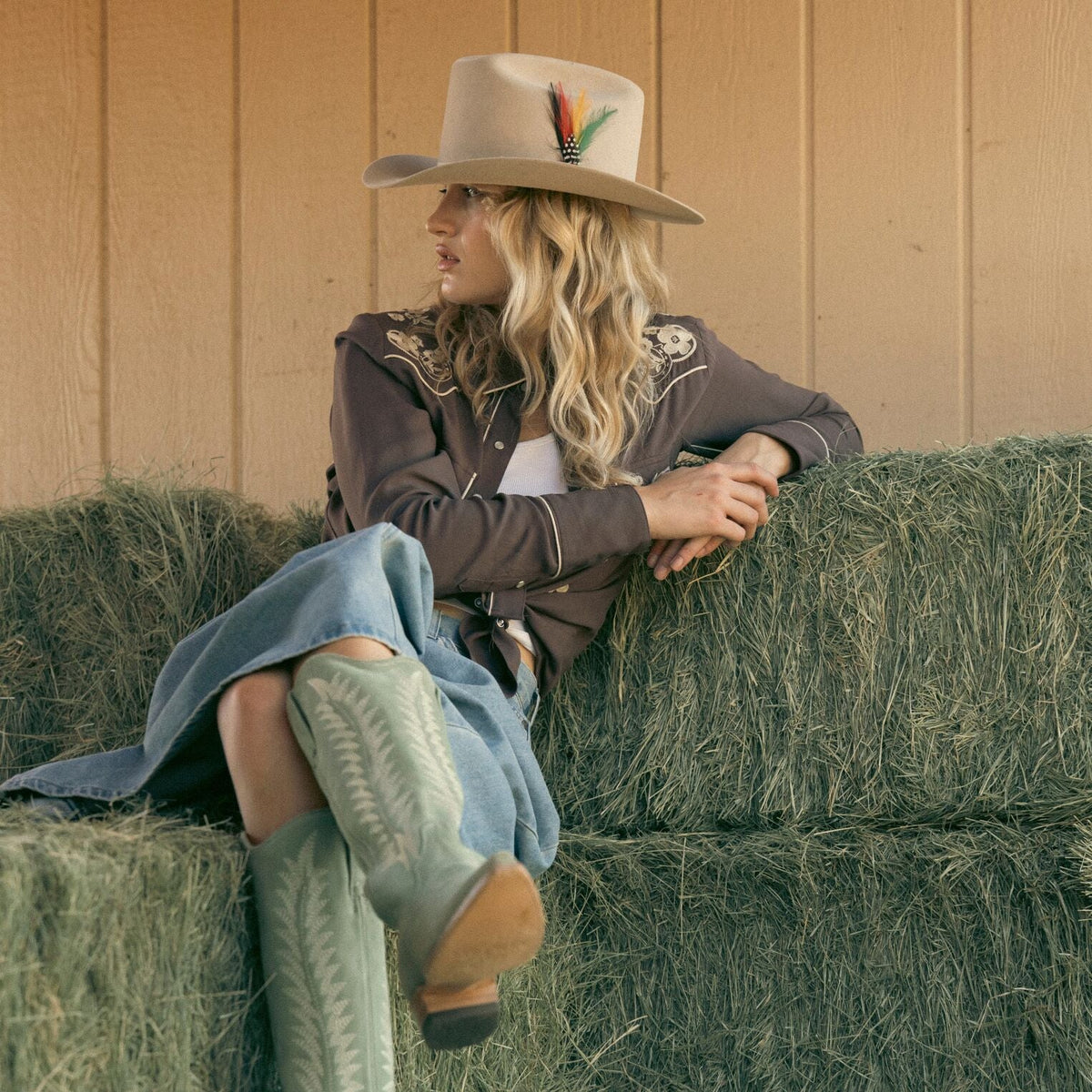 Embroidered Retro Western Shirt Brown - Stetson