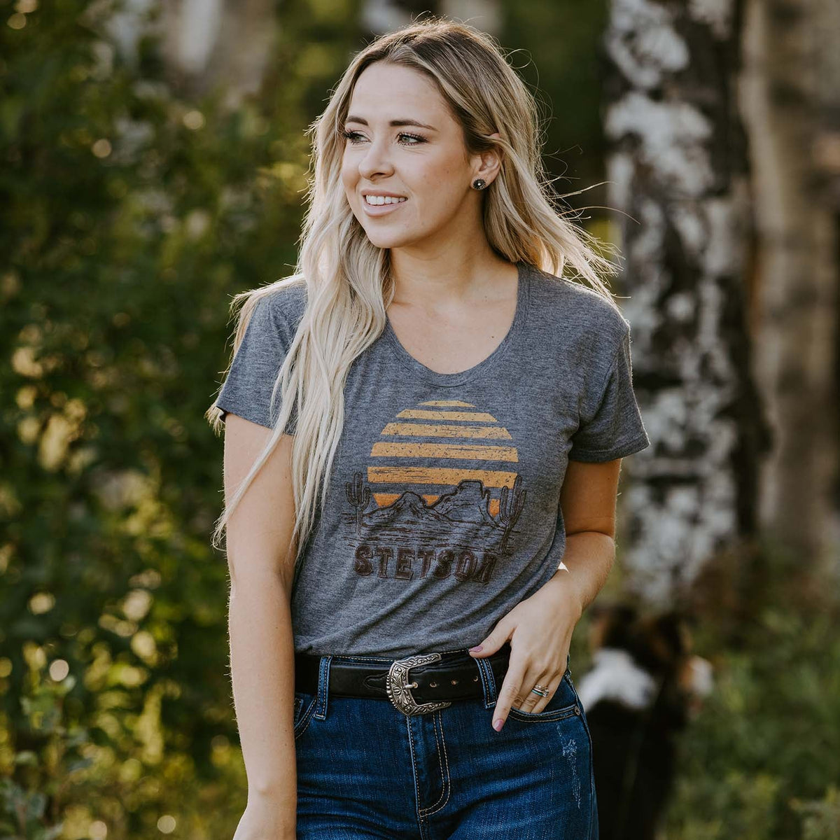 Sunset Graphic Tee Grey - Stetson