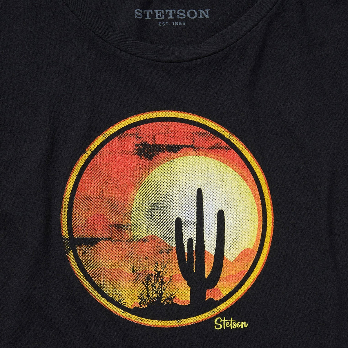 Sunset Saguaro Graphic Tee Black - Stetson