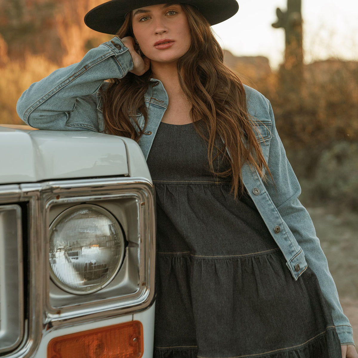 Dark Denim Dress With Contrast Top Stitching Blue - Stetson