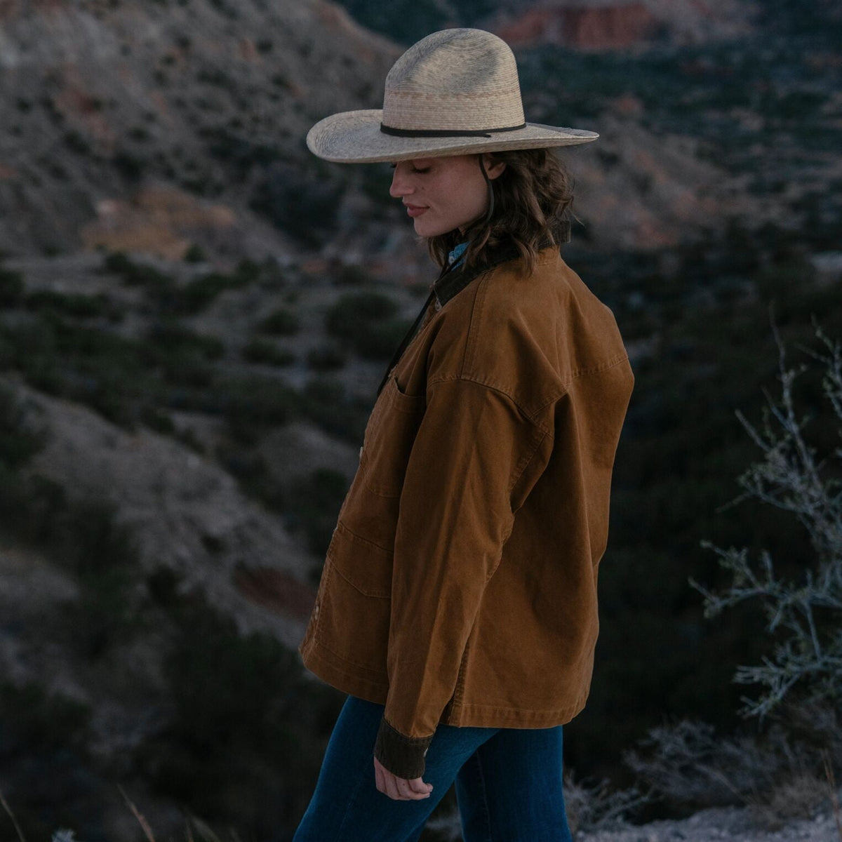 Corduroy Collar Canvas Barn Jacket Brown - Stetson