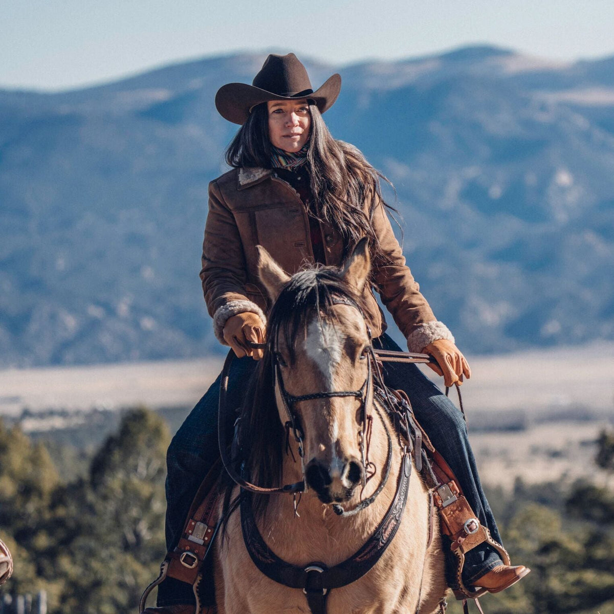 Suede Shearling Jacket Brown - Stetson