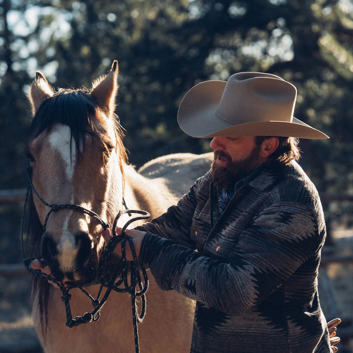 Skyline 7242 6X Cowboy Hat Sahara - Stetson