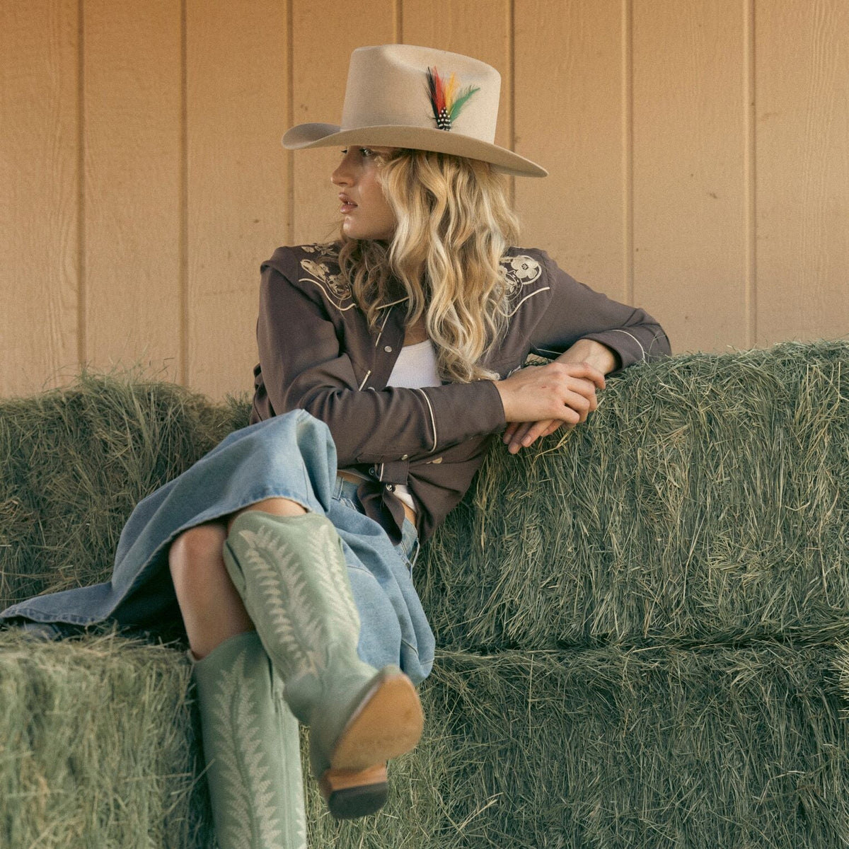 Range 6X Cowboy Hat Silverbelly - Stetson
