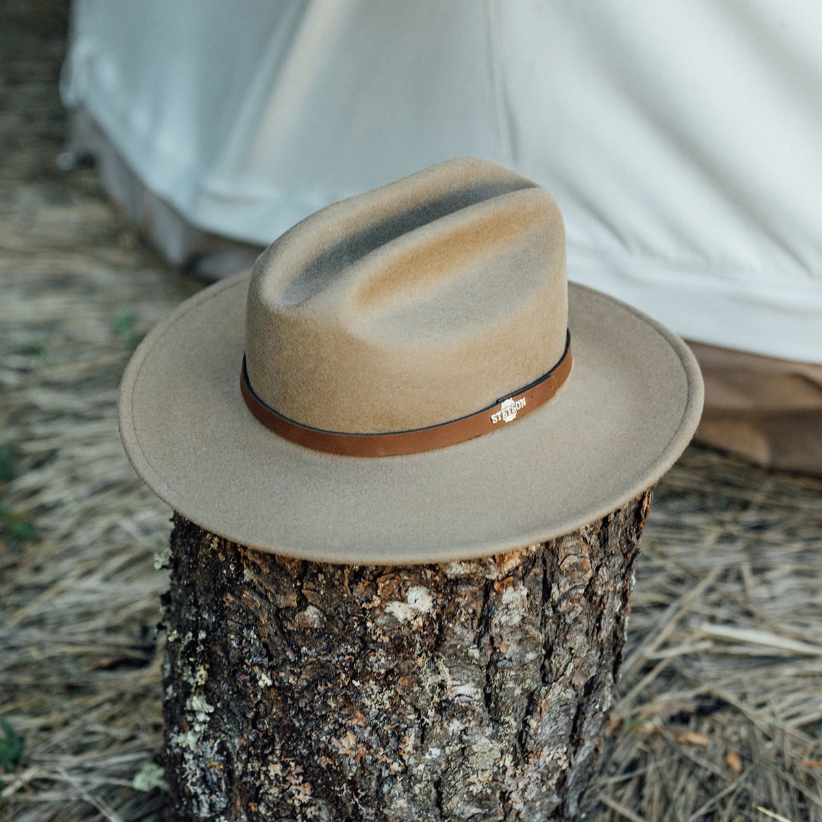 The Route 66 Mushroom - Stetson