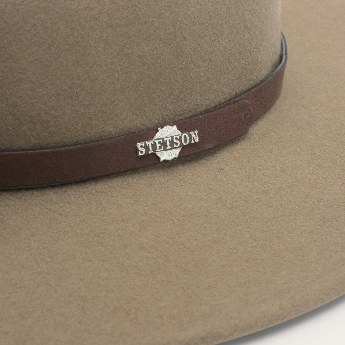 The Route 66 Mushroom - Stetson