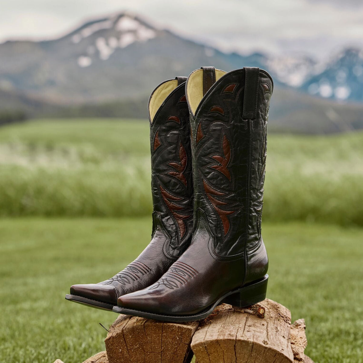 Georgia Boots Black Cherry - Stetson