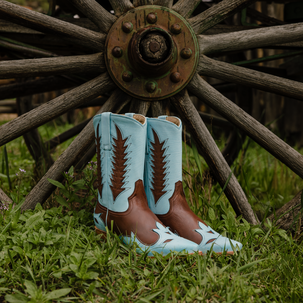Alix Boots Blue - Stetson