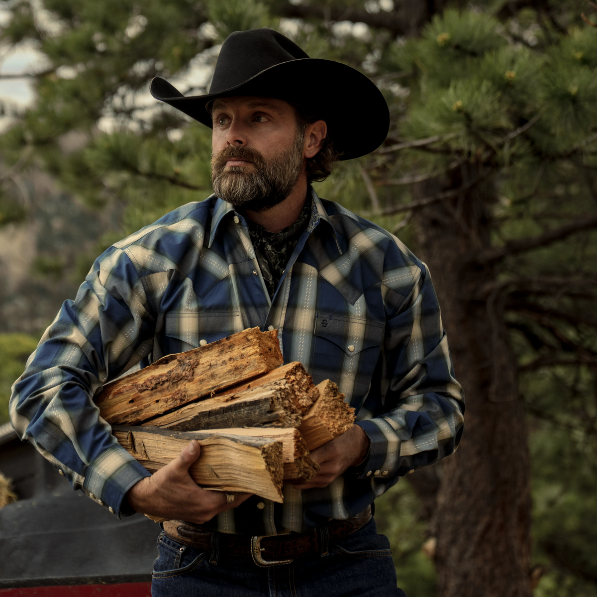 Blue Sage Dobby Plaid Western Shirt Blue - Stetson