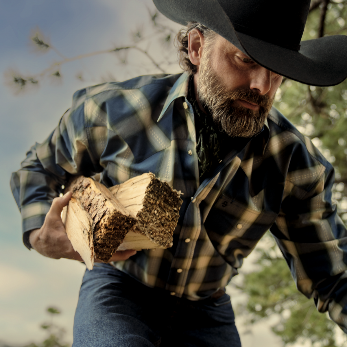 Blue Sage Dobby Plaid Western Shirt Blue - Stetson